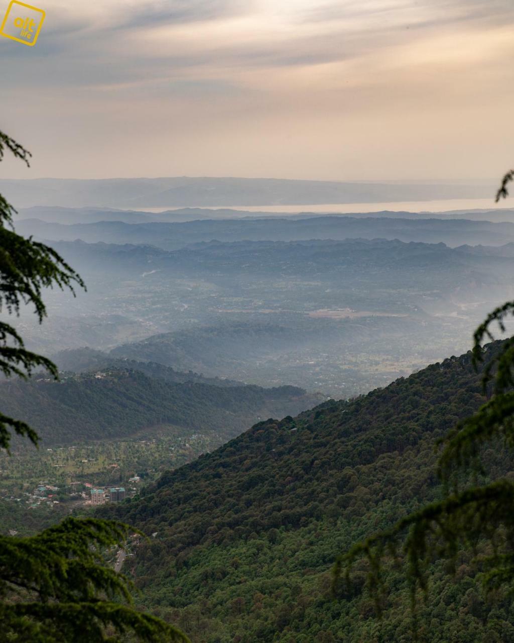 Hostel Alt Life - Dharamkot McLeod Ganj Zewnętrze zdjęcie